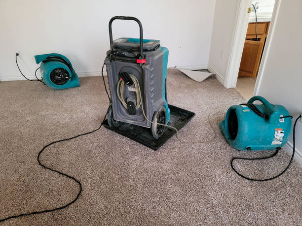 Best Flooded house restoration  in Murrells Inlet, SC