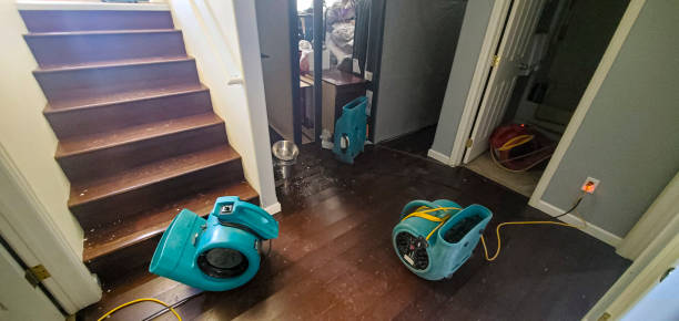 Best 24-hour water damage restoration  in Murrells Inlet, SC