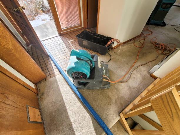Best Water damage cleanup near me  in Murrells Inlet, SC