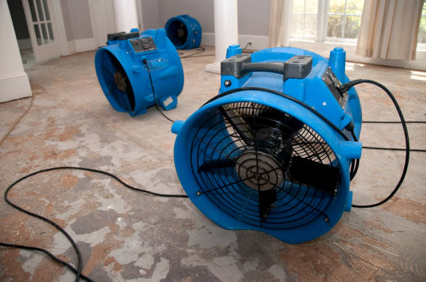 Best Flood damage cleanup  in Murrells Inlet, SC