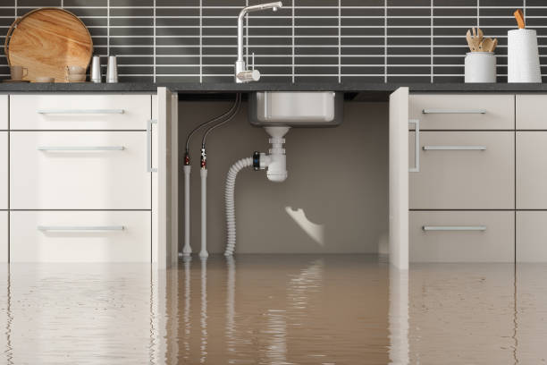 Murrells Inlet, SC Water damage restoration Company