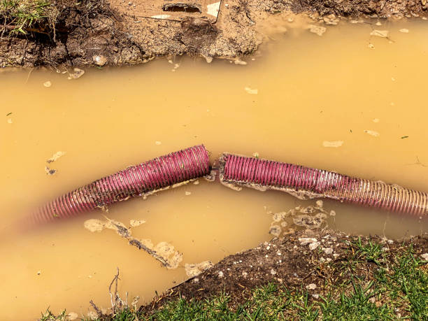 Best Local water damage restoration  in Murrells Inlet, SC
